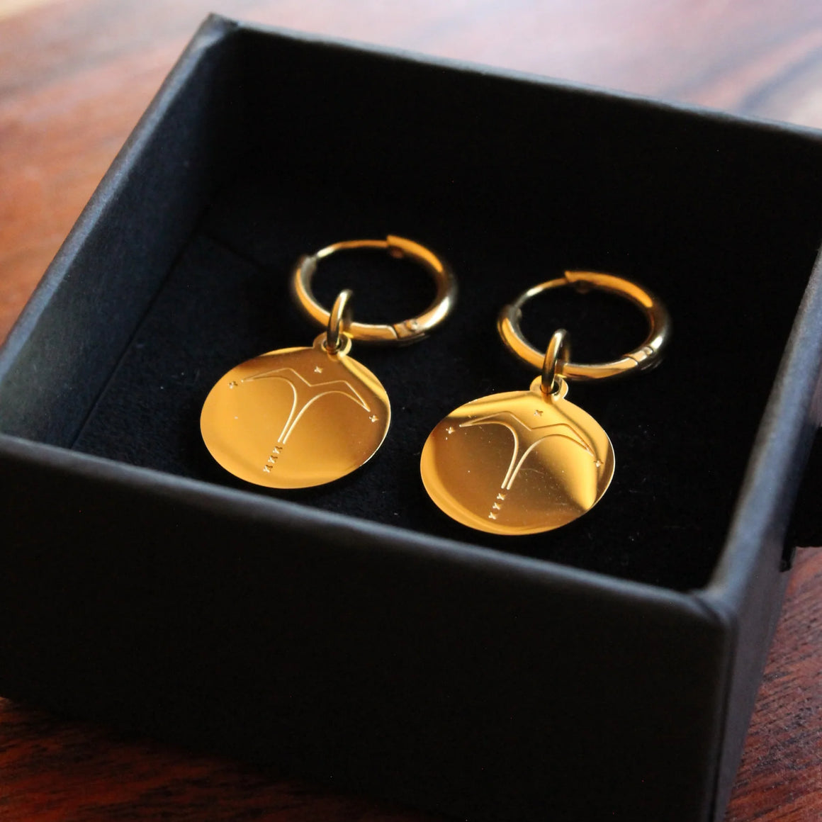 Jewellery - Waihonga Earrings